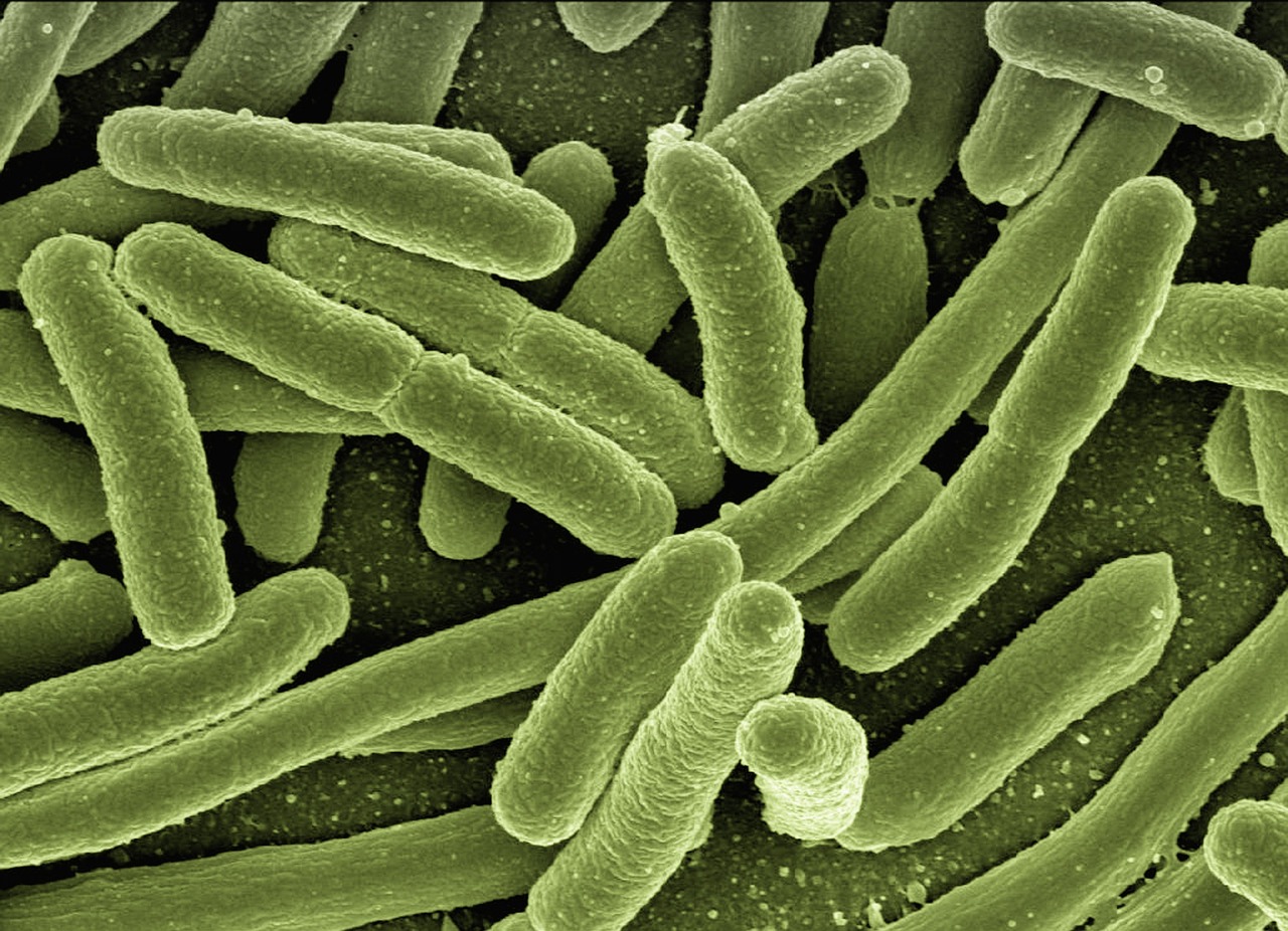 Sleep and Immune System: Effects, Risks, and Remedies