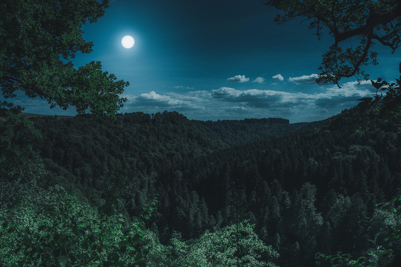 Sleep Paralysis Causes: Risks, Diagnosis, and Prevention